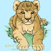 Yᵊhudah: lion cub